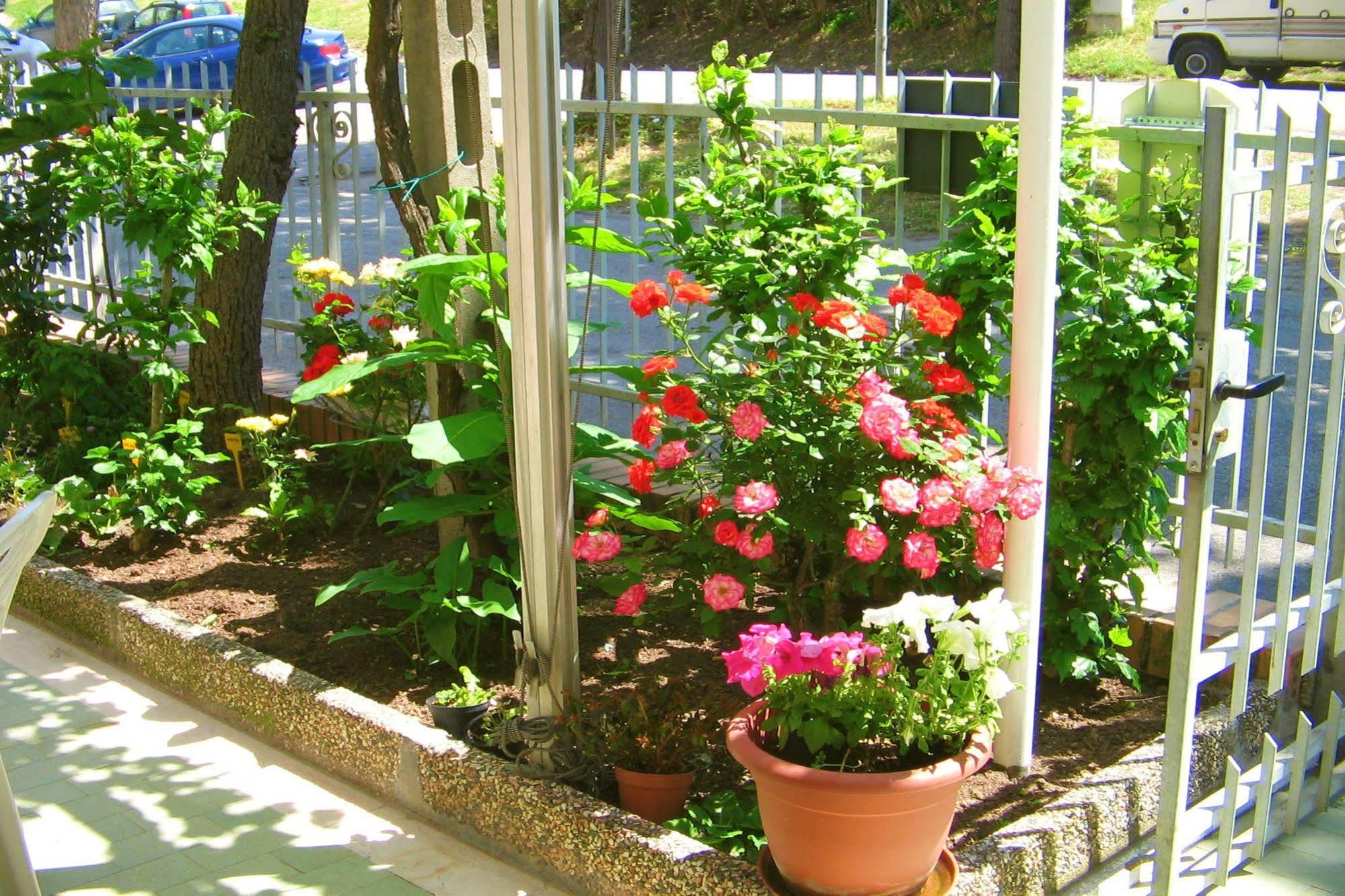 Villa Lauda B&B Rimini Exterior photo